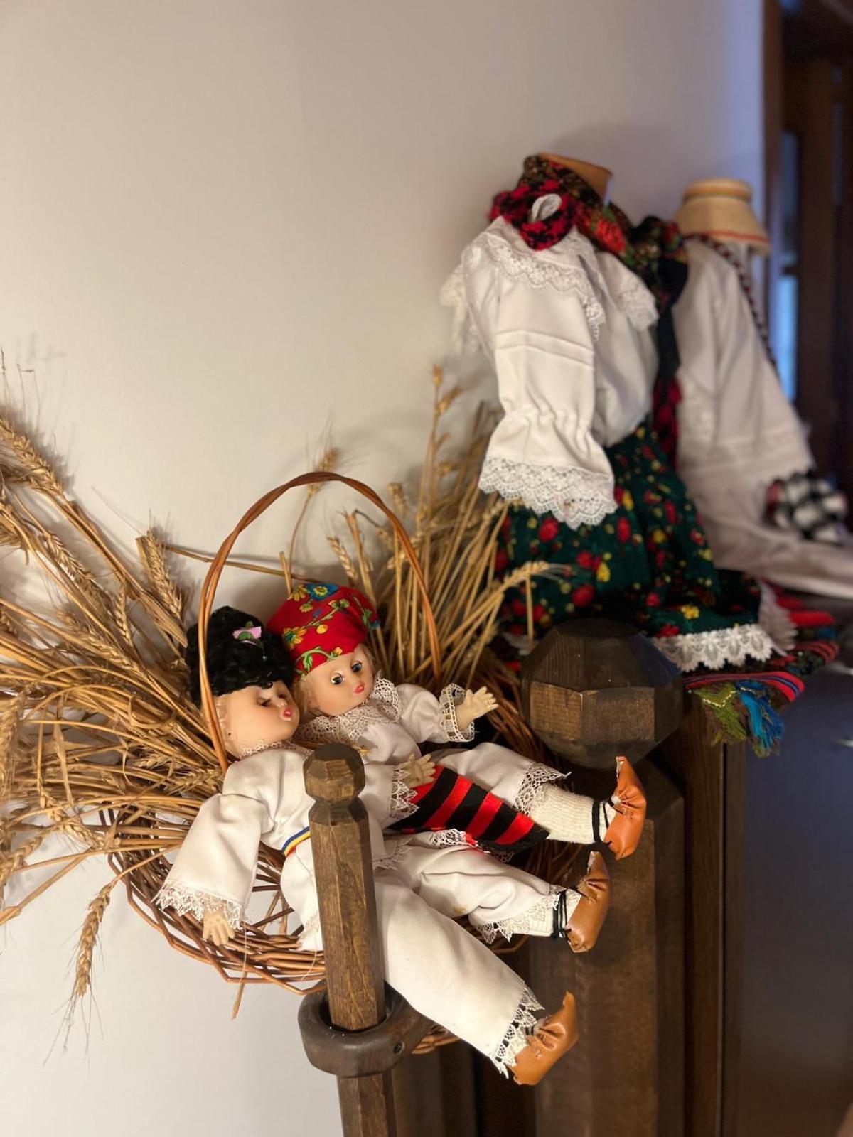 Cabana Rustic Borşa Cameră foto